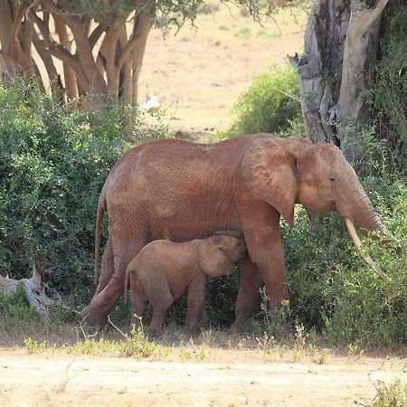Nyumba Ya Afrika Bed and Breakfast Watamu Buitenkant foto