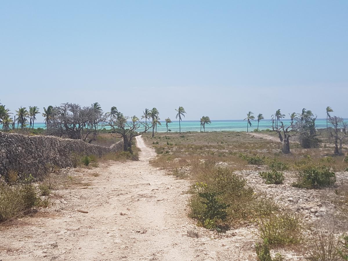 Nyumba Ya Afrika Bed and Breakfast Watamu Buitenkant foto